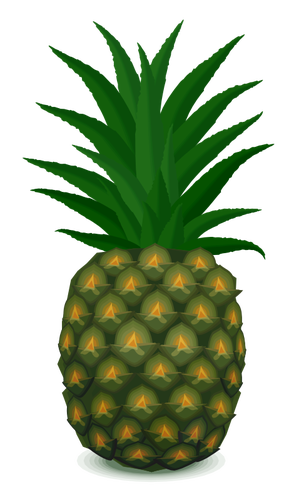 Ananas, kresba