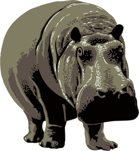 Gambar vektor dari hippo