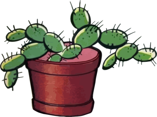 Kaktus obrazu