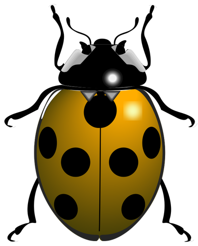 Lieveheersbeestje-symbool