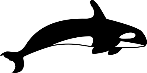 Orca silhouet