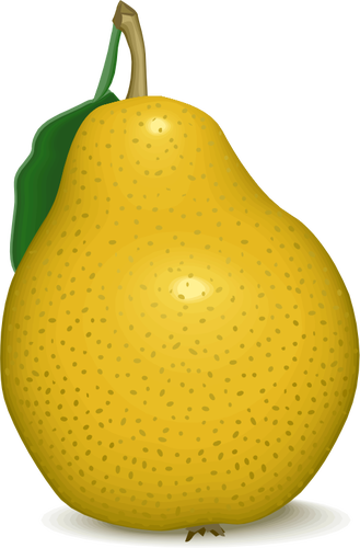Imagen vectorial de pera amarilla