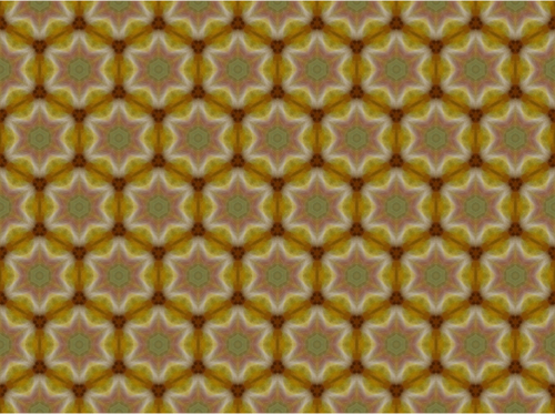 갈색 꽃 배경 패턴