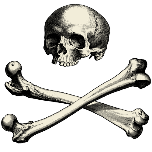 Calavera con huesos vector imagen