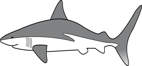 Простые акулы