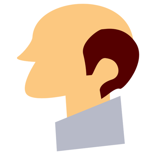 Gambar Profil Pria Botak