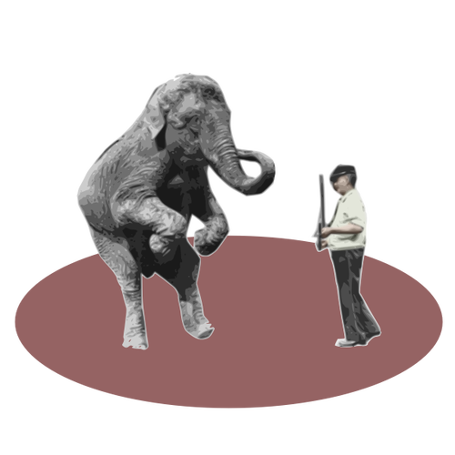 Pertunjukan Sirkus Dengan Gajah