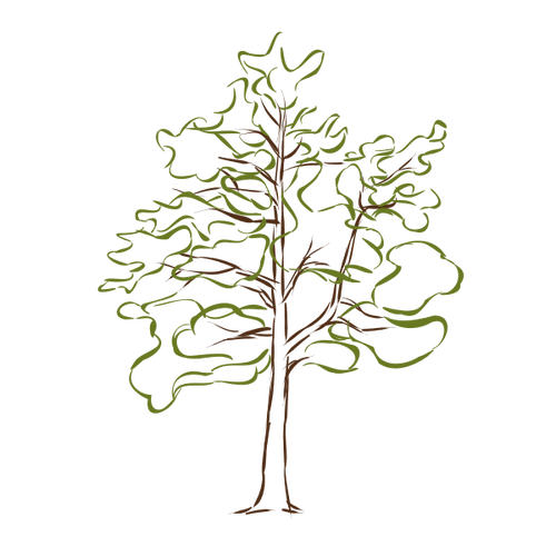 Oak tree vector drawing