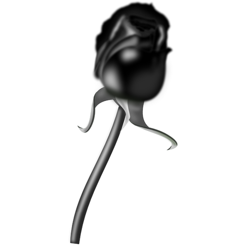 Black rose graphic effects