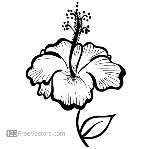 Flor de hibisco desenhados à mão