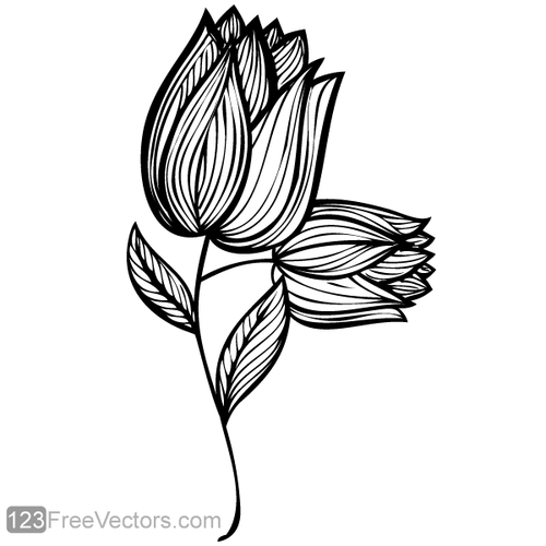 Hand-Drawn Rose Flower