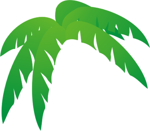 Daun pohon Palm vektor ilustrasi