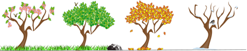 Деревья векторное изображение