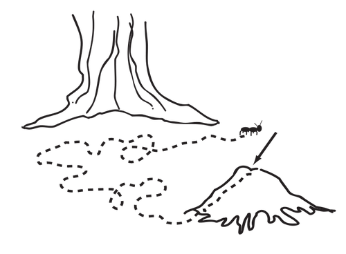 Ilustración de vector de camino de hormiga