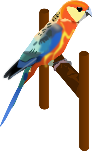 Ein Papagei