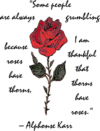 Rose with text