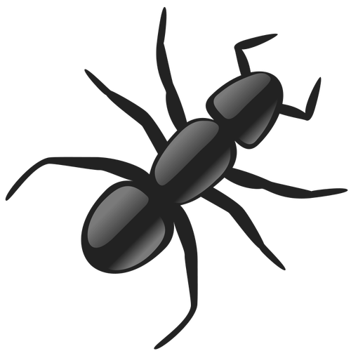 Vector image of an ant