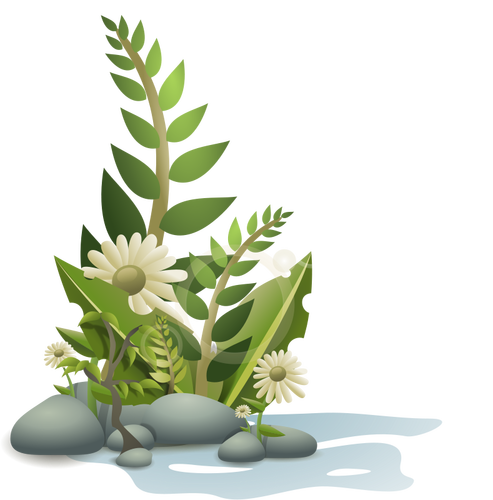 Rostliny oblázky a květiny vektor