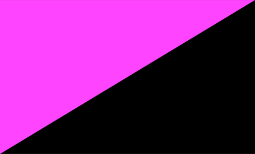 Grafika wektorowa anarcho-queer flagi