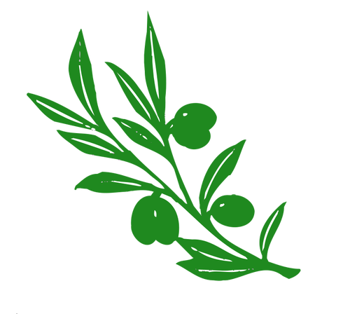 Imagem de vetor de ramo de árvore verde-oliva
