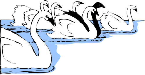 Cisnes en agua vector de imagen