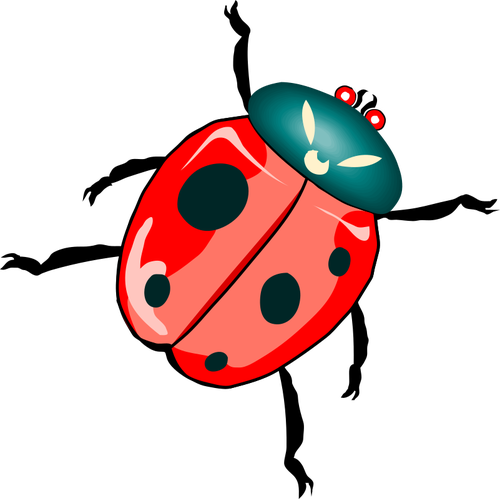 Ilustrasi ladybug