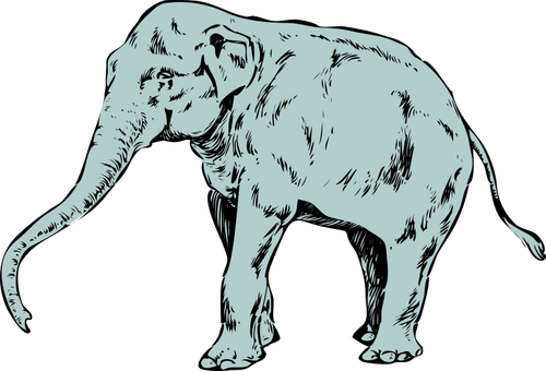 Vector illustratie van blauwe jonge olifant