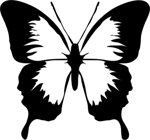 Image de silhouette de papillon