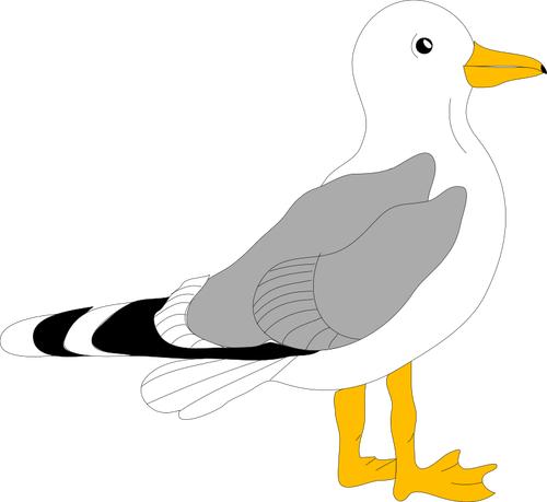 用灰色羽毛的海鸥的绘图