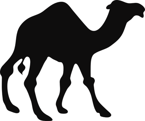 骆驼的轮廓矢量图像