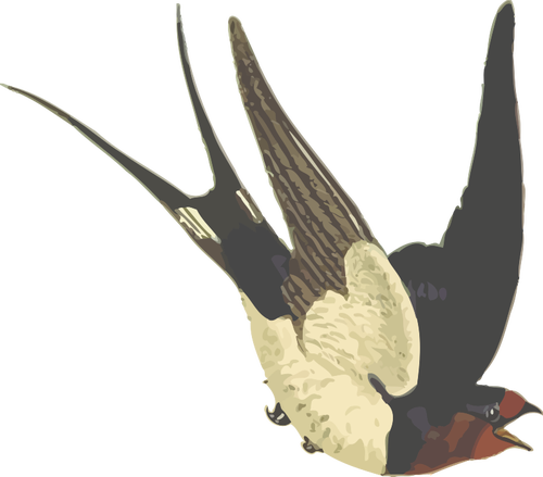 Ilustração do vetor de andorinha com cabeça vermelha