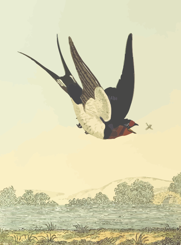 סנונית הרפתות ציפור על הנוף הטבע וקטור ציור