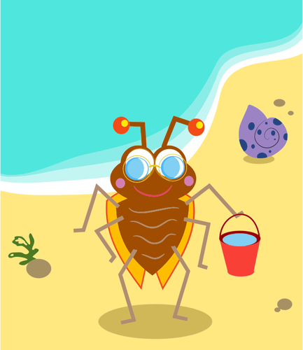 Bug de la plage