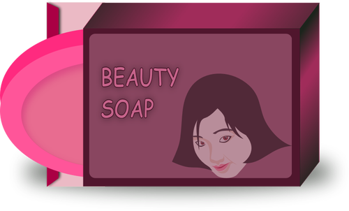 Asijské krásy mýdlo vektorový obrázek