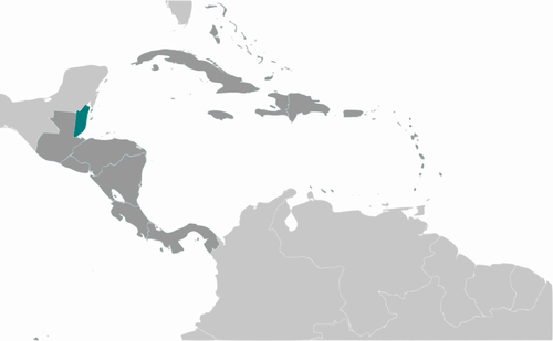 Markierten Belize Bild