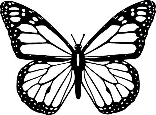 ベクター クリップ アート全体を黒と白の蝶の羽を広げて