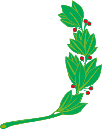 Mistletoe cabang