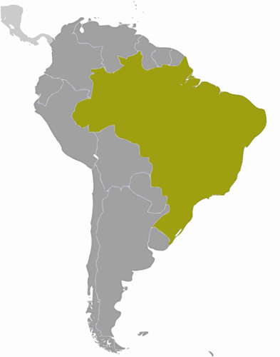 Brazílie umístění mapa vektorová kresba