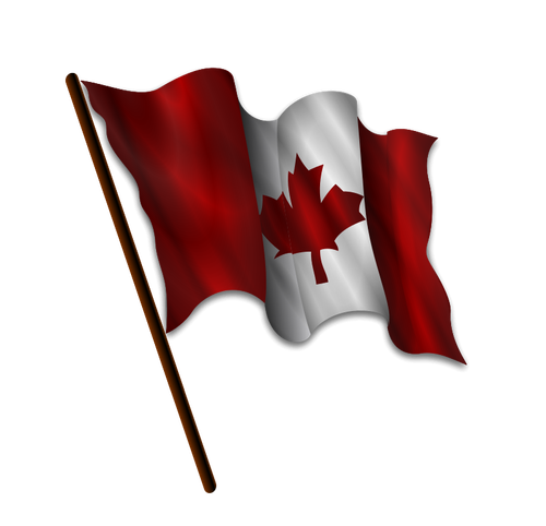 Drapeau canadien ondulant vector image