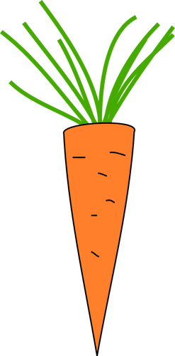 Icône de carotte