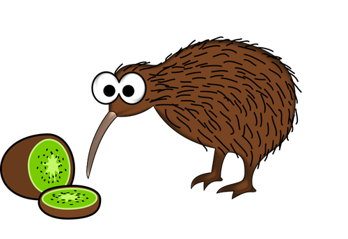 Oiseau de kiwi aux kiwis
