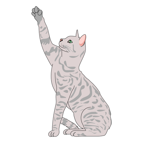Illustrazione di vettore del gatto