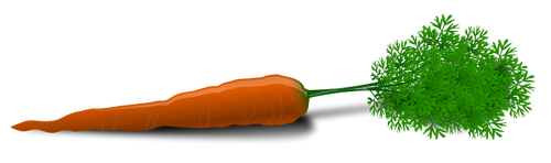 Vector de la imagen de una zanahoria