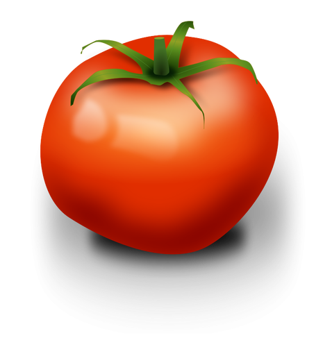 Imagen vectorial de tomate
