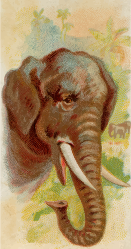 Ilustracja słoń