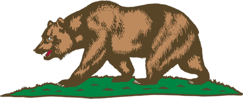 Urso andando na imagem vetorial de grama