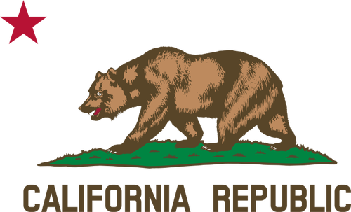 从旗帜的加州共和国矢量图像细节