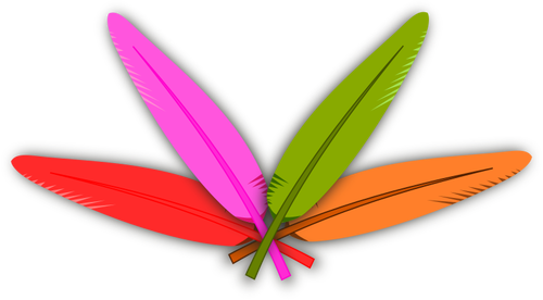 Vector clip art of four crossed color feathers