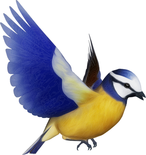 Clip-art vector de pássaro colorido