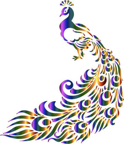 Färgglada påfågel vektorbild